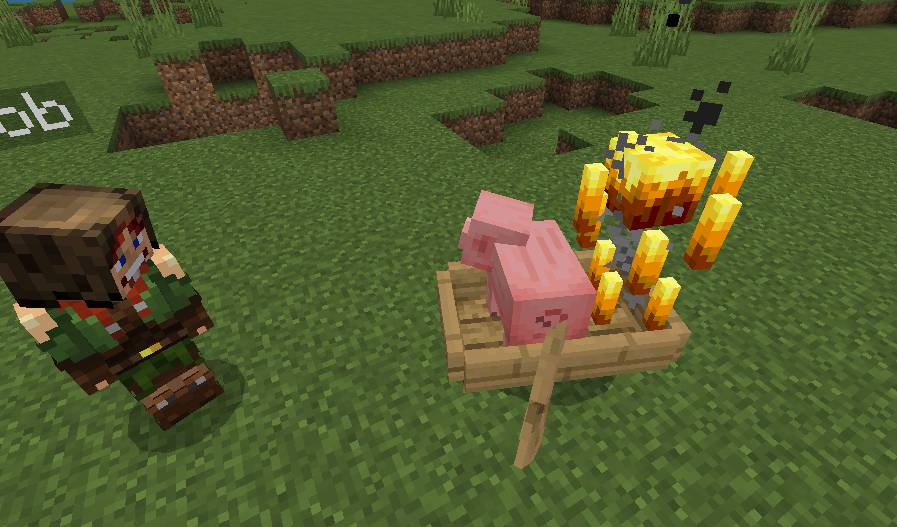Pick-Up-Carry-Addon-MCPE-17