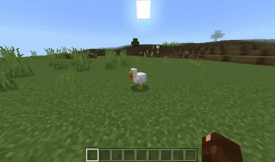 Pick-Up-Carry-Addon-MCPE-2