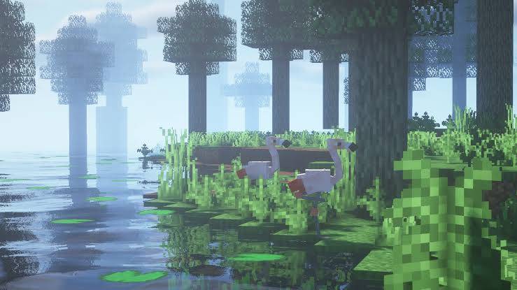 BSL Shader