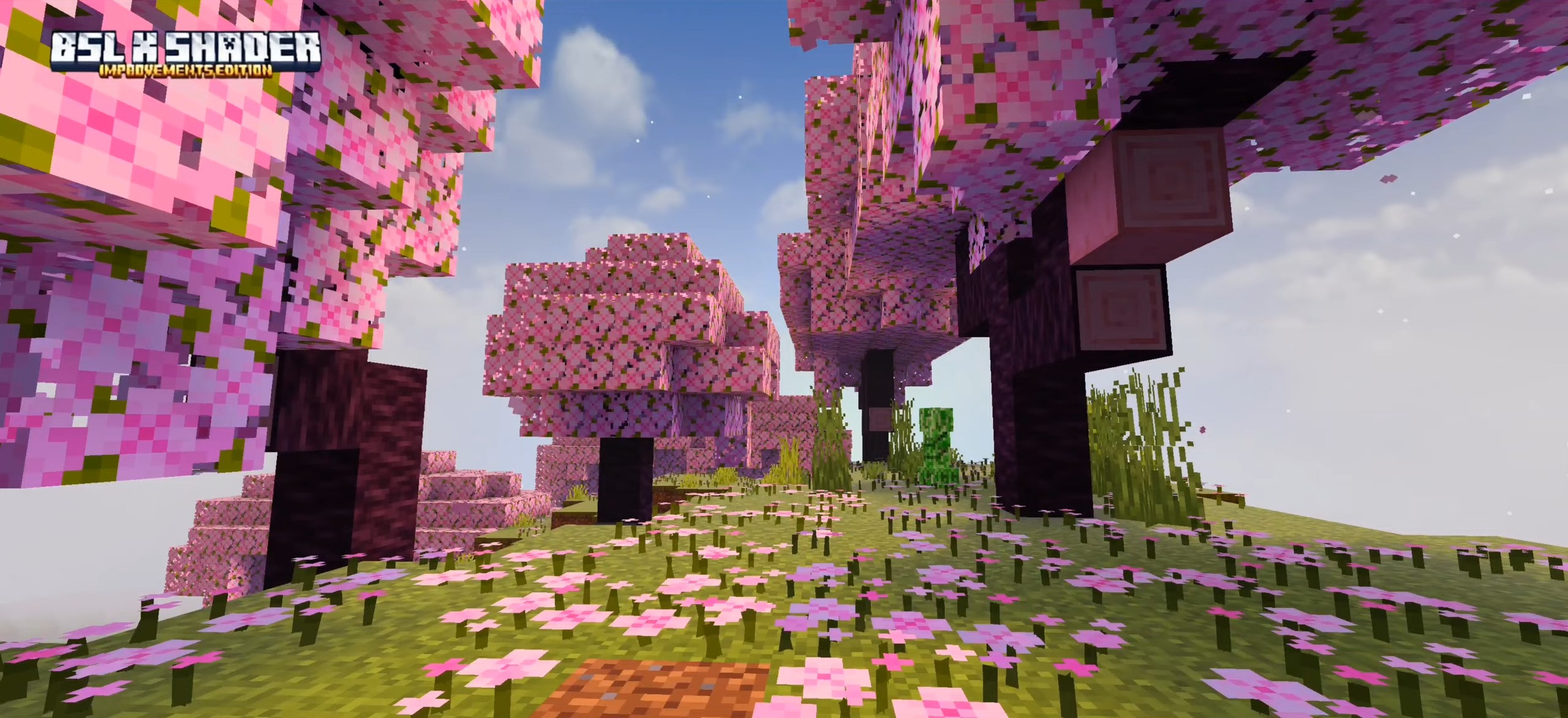 BSL X Improvement Shader