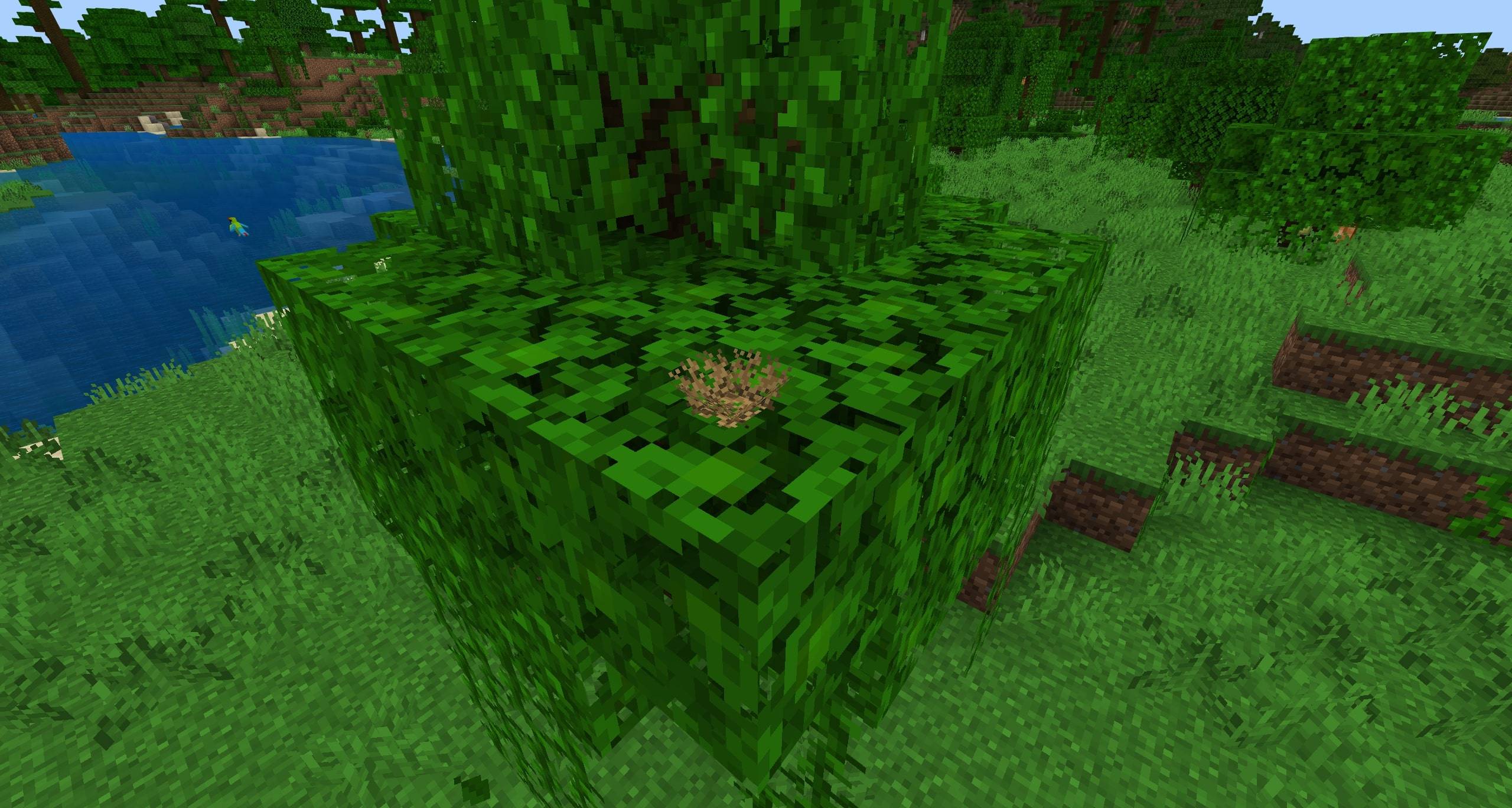 nest_2-jpg