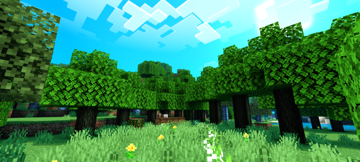 NEWB X ALE SHADER