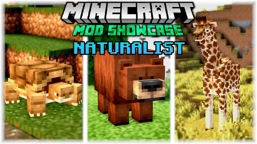 Naturalist Addon