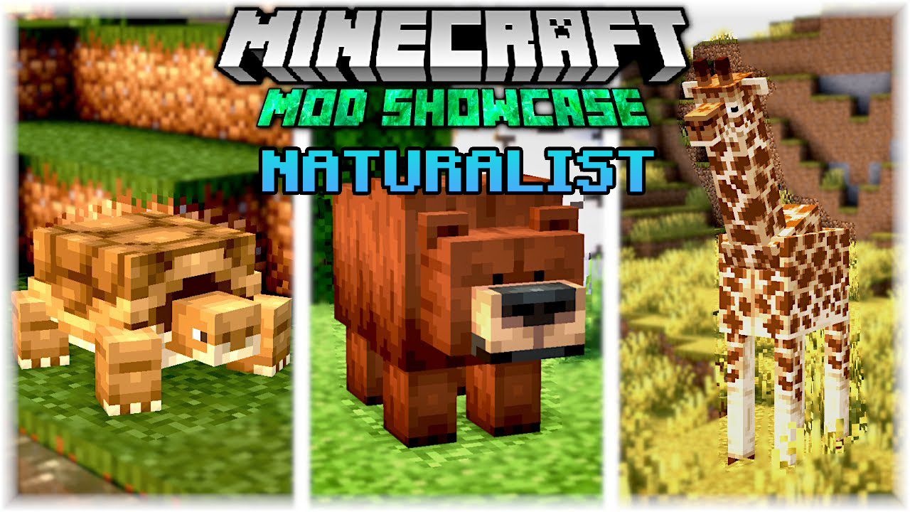 Naturalist Addon