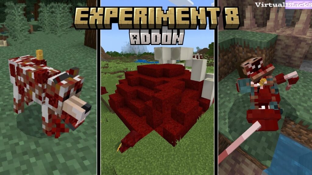 Experiment 8 Addon