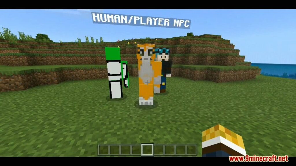NPC Expansion Addon
