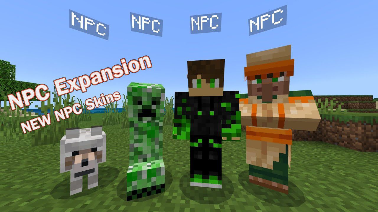 NPC Expansion Addon