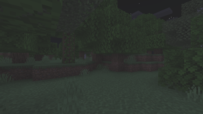Night Vision