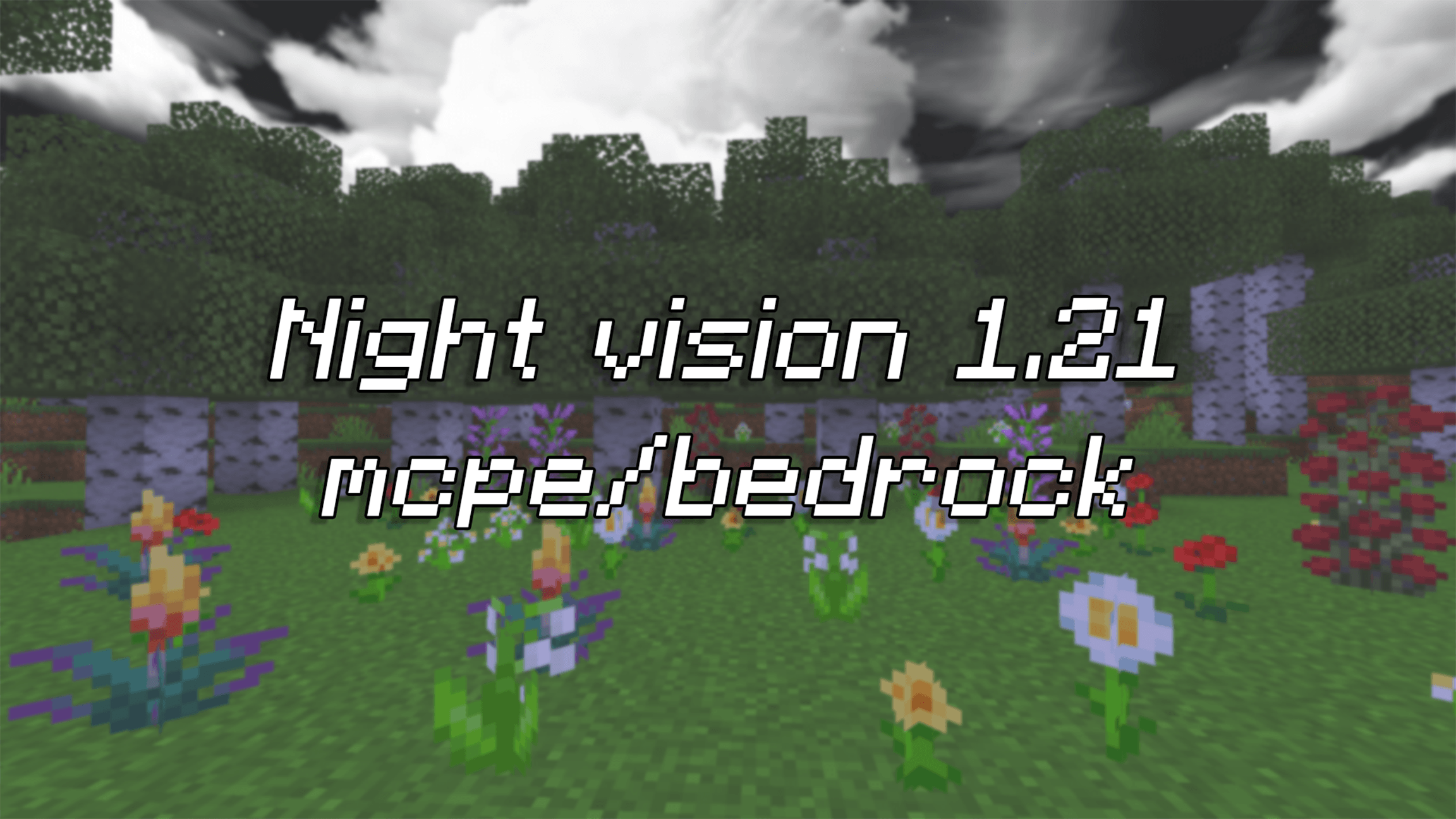 Night Vision