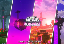 Newb x Flamingo Shader