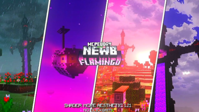 Newb x Flamingo Shader