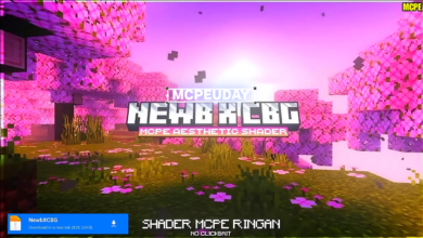 Newb X CBG Shader For MCPE