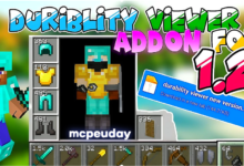 Duriblity Viewer Addon