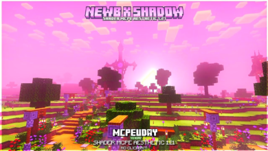 Newb X Shadow Shader