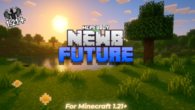 NEWB X FUTURE Shader