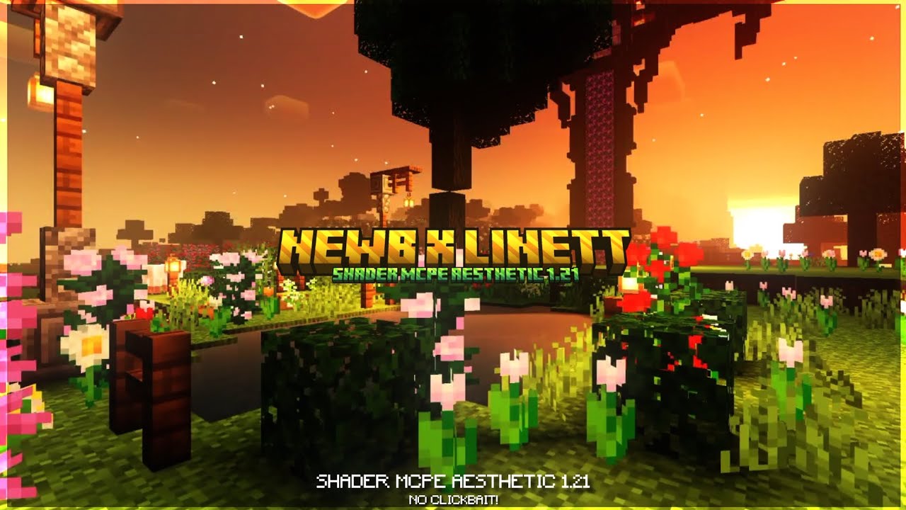 NEWB X LINETT Shader