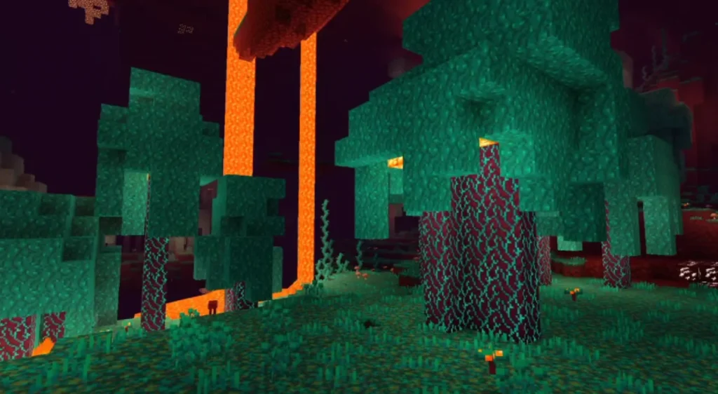 NEWB X FONCEKA Shader