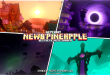 NEWB Pineapple Shader