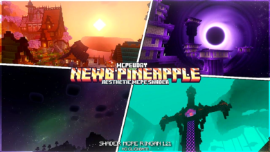 NEWB Pineapple Shader