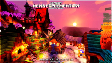 NEWB Explementary Edition Shader