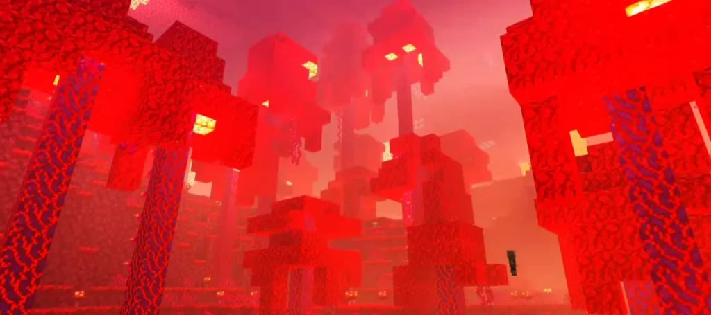 NEWB X Columbus Shader