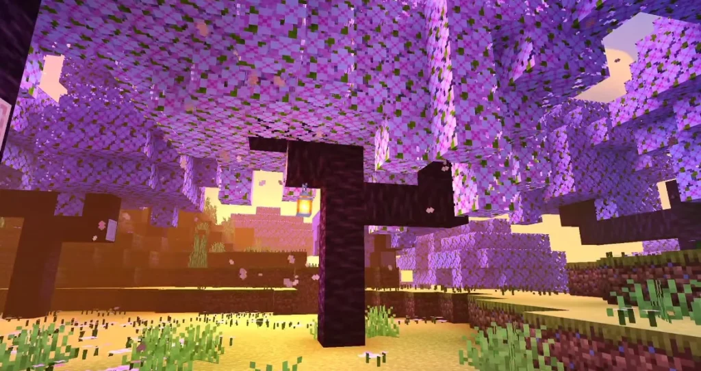 NEWB X Twilight Shaders