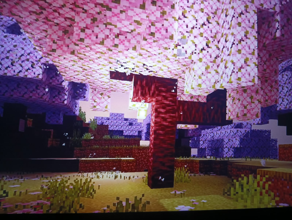 NEWB Explementary Edition Shader