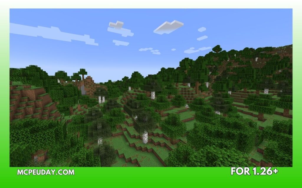 Forest Biome