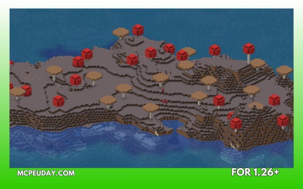  Mushroom Fields