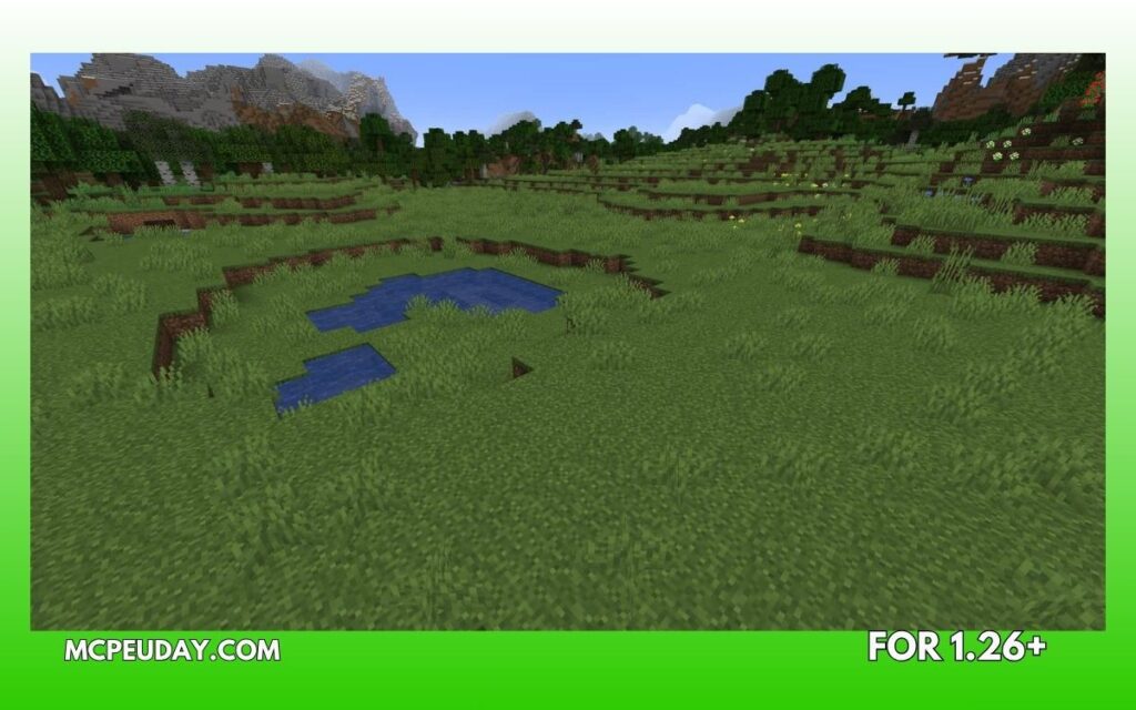 Plains Biome