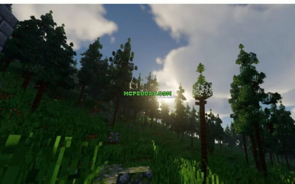 Chocapic13 Shaders: Download, Install & Best Settings Guide (2026)