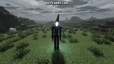 Playmate Addon (26.x, 1.21) – MCPE/Bedrock Mod