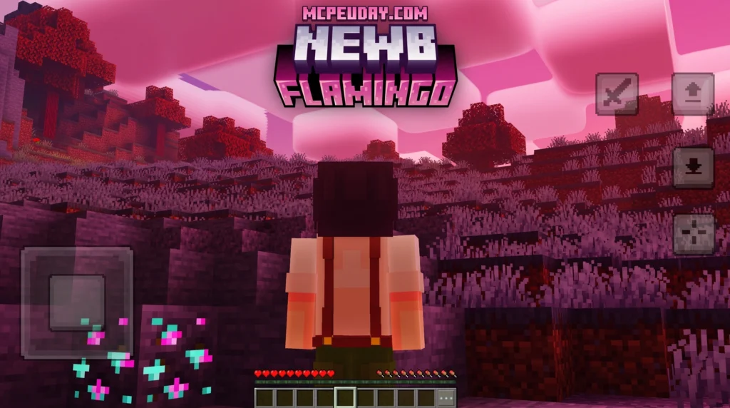Newb x Flamingo Shader (26.x, 1.21) – MCPE/Bedrock Shader