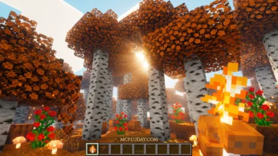 Orange Trees Addon (26.x, 1.21) – MCPE/Bedrock Mod