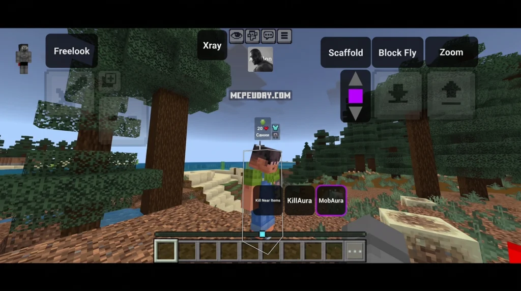 Apollon Client Minecraft PE utility cheat interface