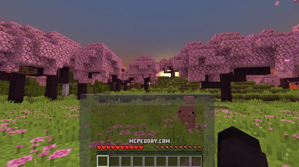 Transparent Shield Texture Pack (26.x, 1.21) โ MCPE/Bedrock Pack
